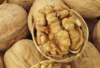 石门核桃