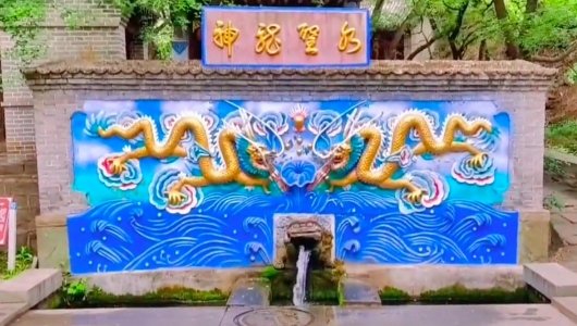 槐树洞的故事