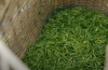 武平绿茶