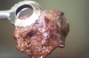 高明牛肉