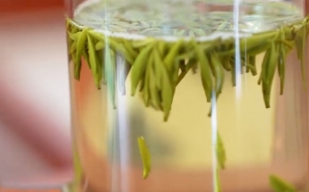 宝盖有机茶