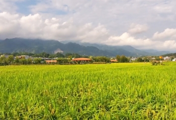 竹溪贡米传说