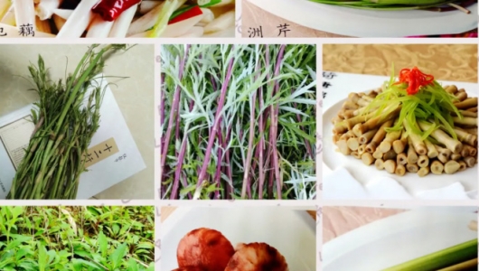 洲八样